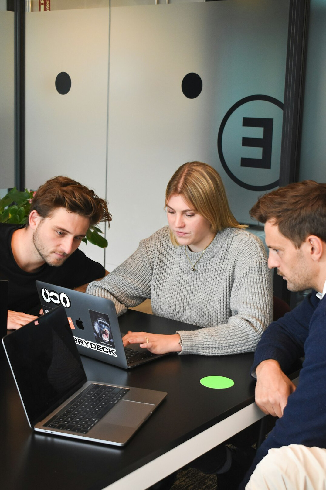 team collaborating on software development